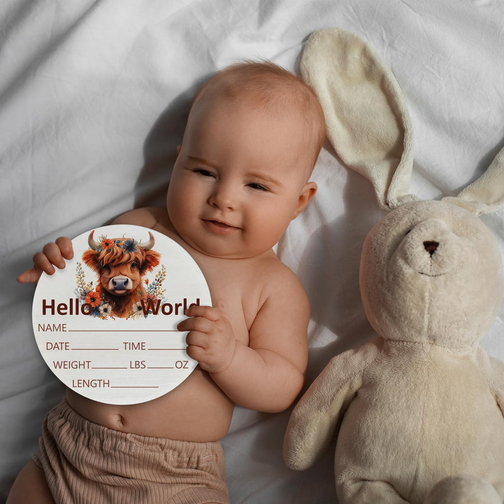 CLHHM welcome newborn sign in the nursery adds cozy charm.