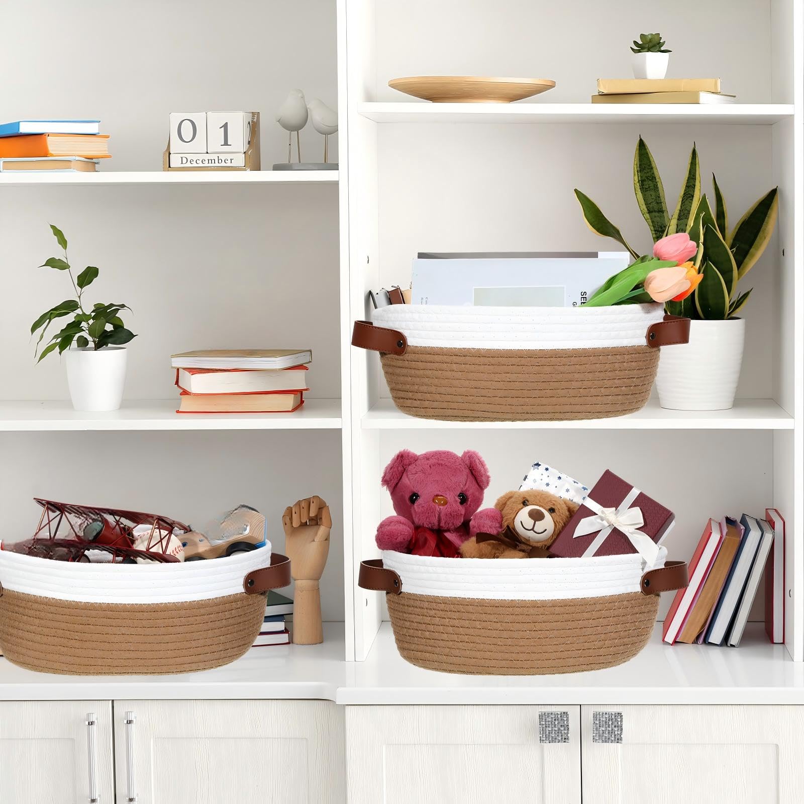 Colingmill basket dimensions 12x8x5 inches for versatile storage.