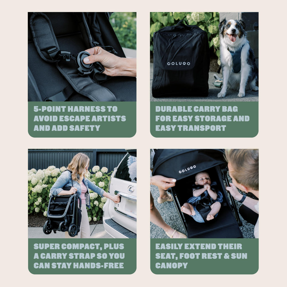 Colugo Compact Stroller+ 5-point harness for secure seating