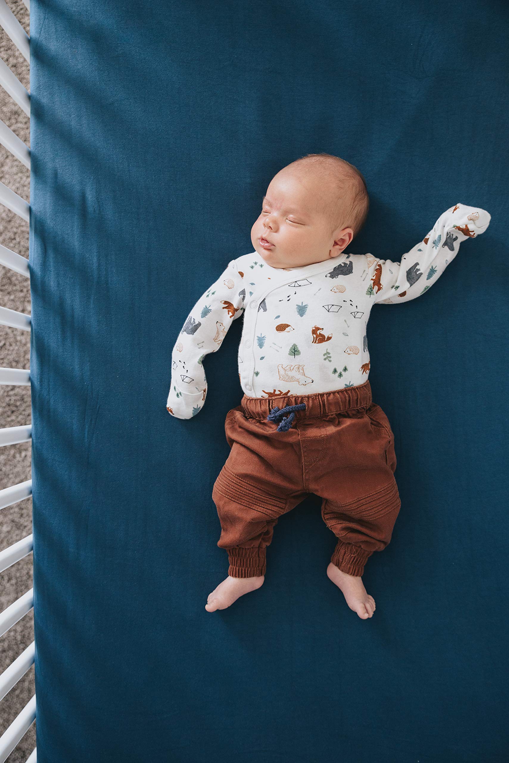 Copper Pearl design coordinates River sheet with a cohesive nursery look.