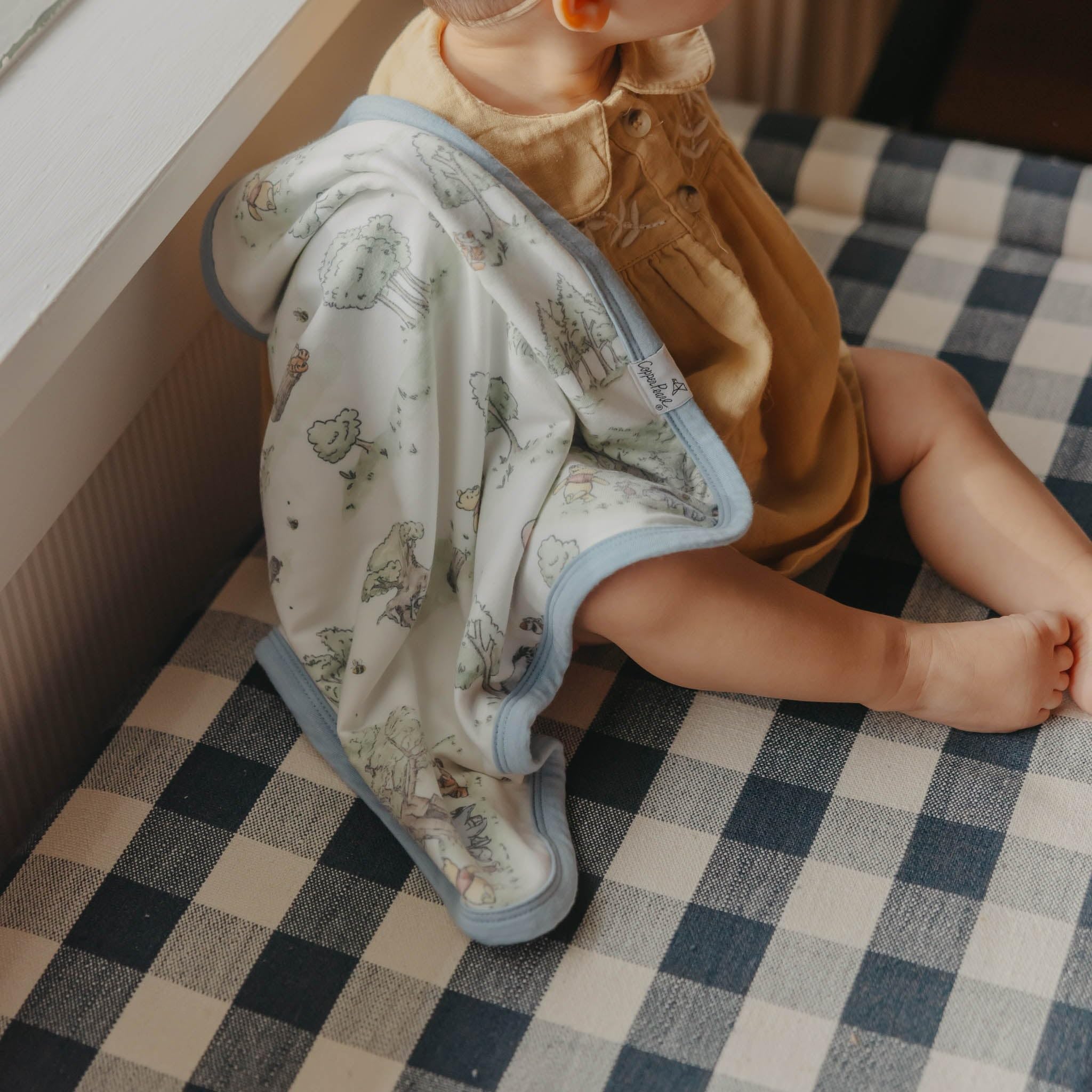 Copper Pearl Hundred Acre Wood coordinates with baby gear for cohesive nursery style.