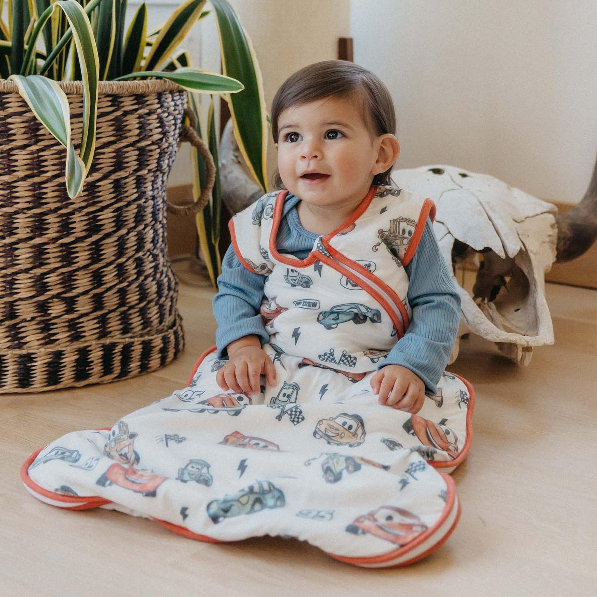 Copper Pearl Disney Cars sleep bag front view offers cozy safety for baby sleep
