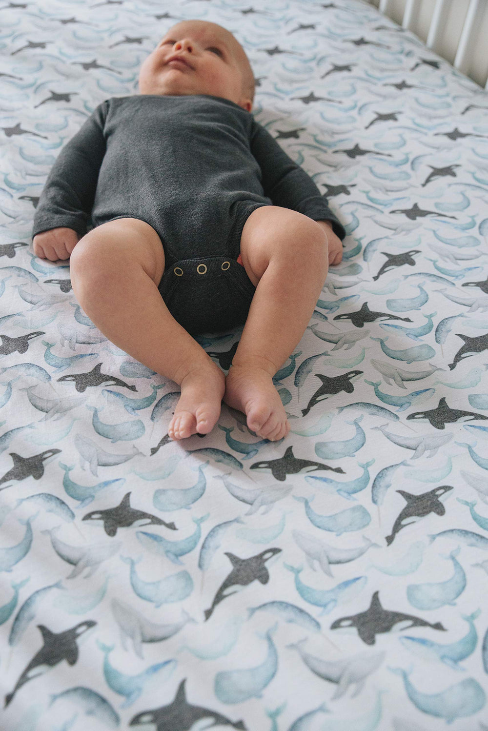 Copper Pearl Kai modern designs brighten the nursery while coordinating with accessories.