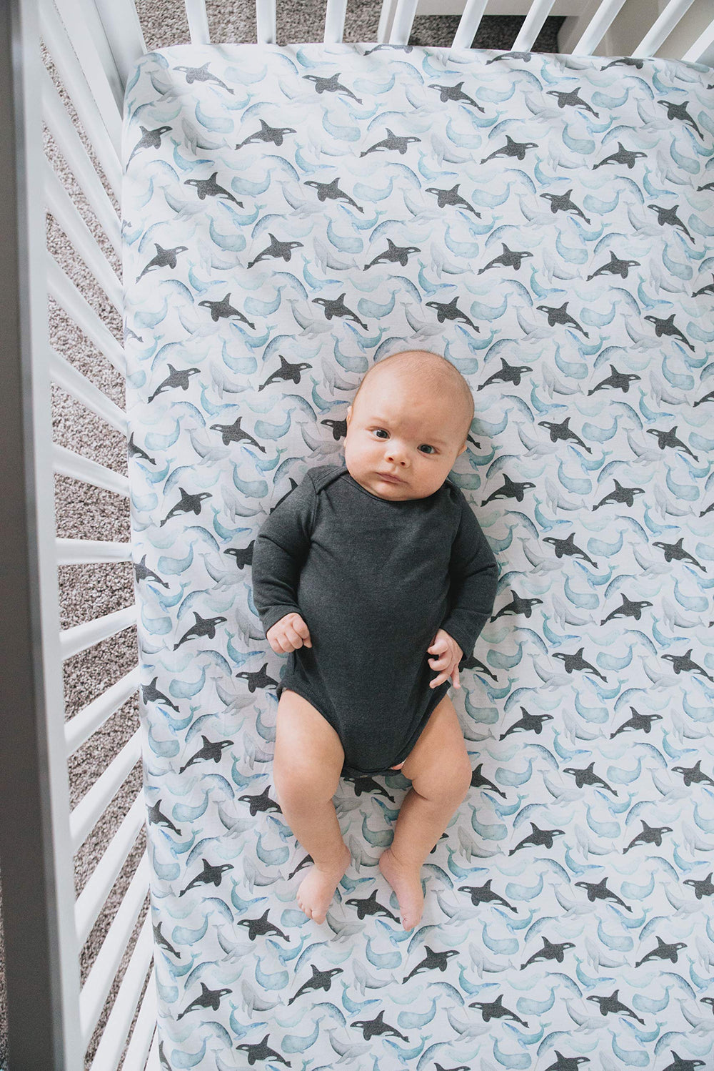 Copper Pearl Kai toddler sheet in stylish pattern supports easy room transition.