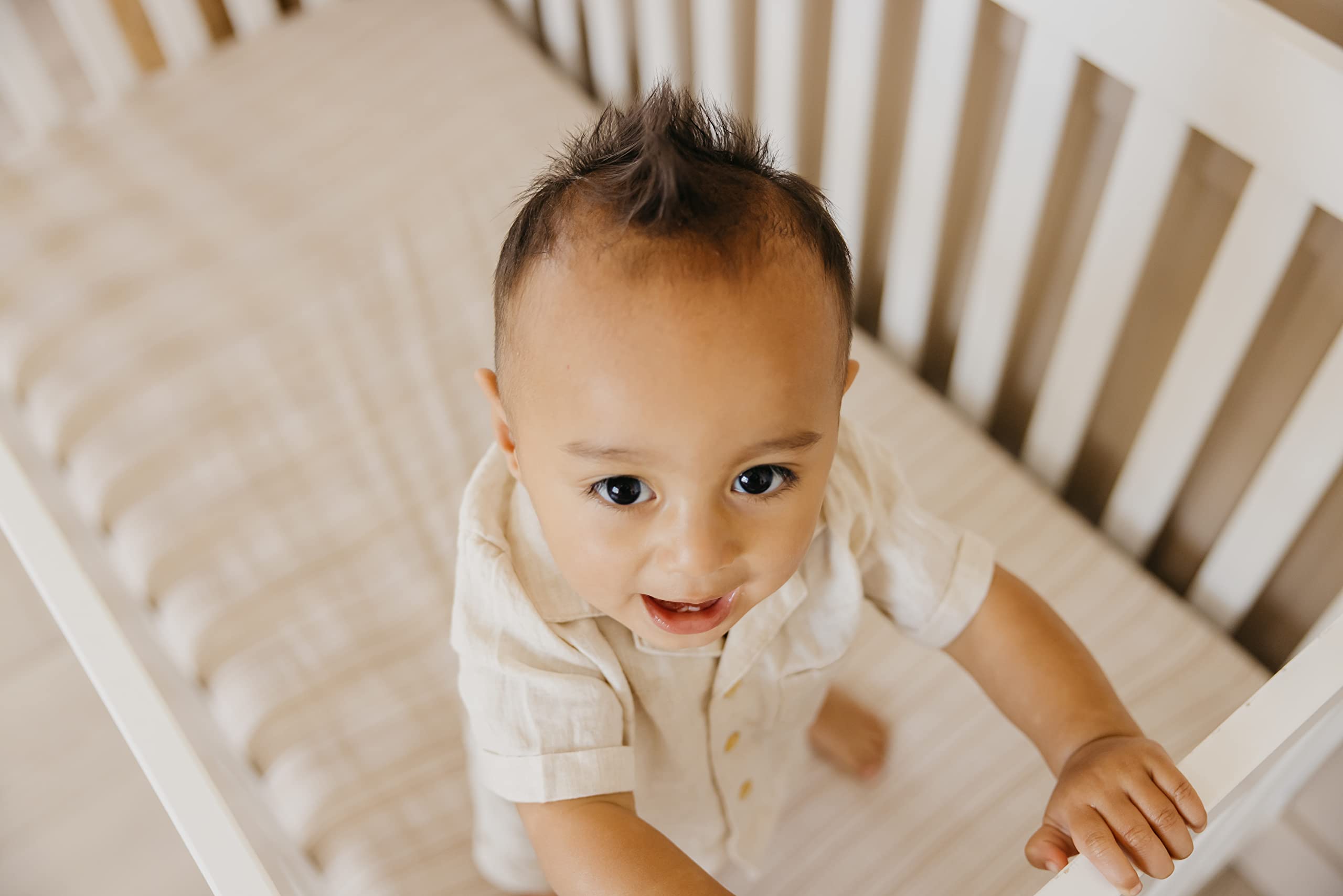 Copper Pearl modern crib sheet design clay; chic nursery coordination.