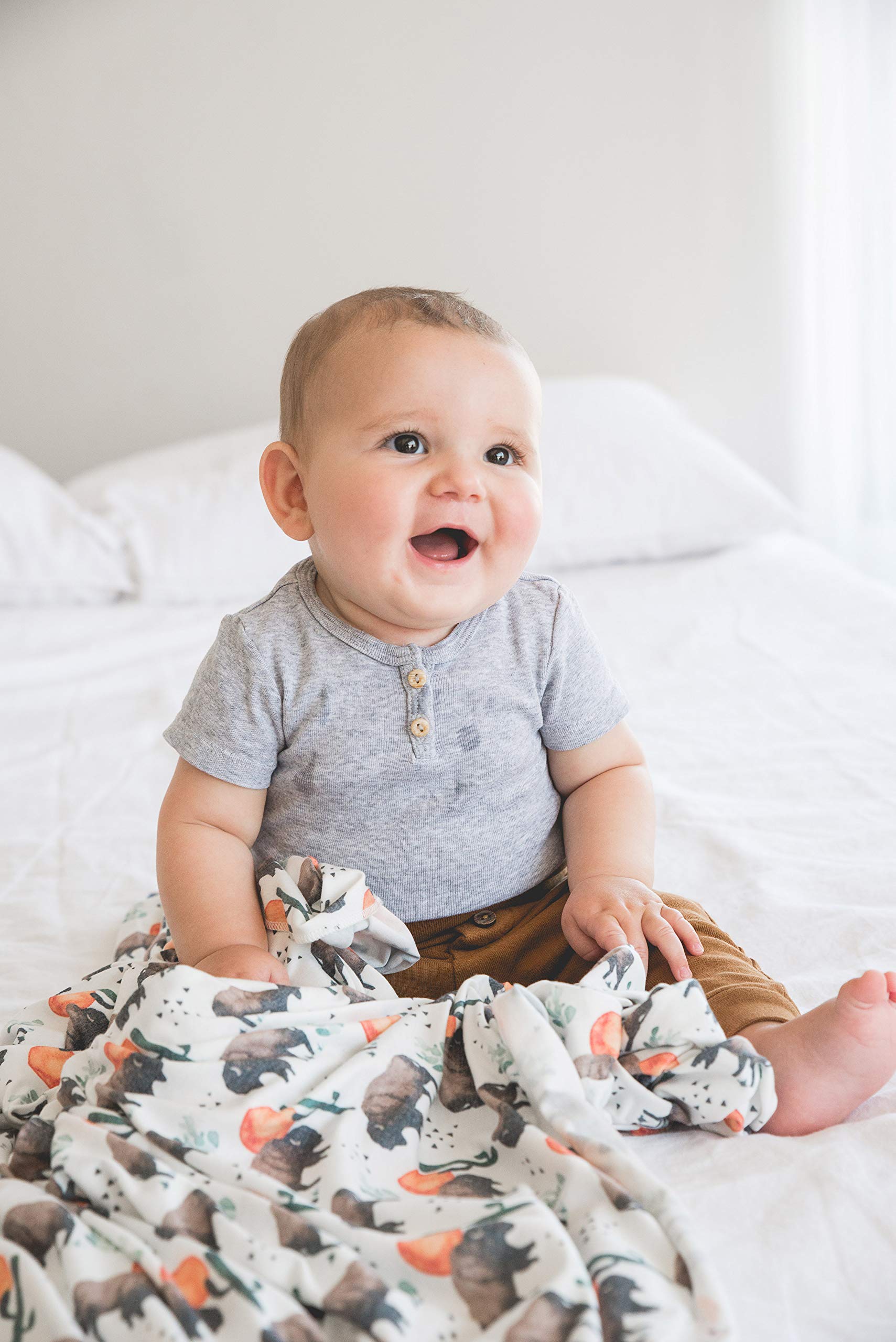 Copper Pearl modern design blanket pairs with nursery decor and stylish living spaces.