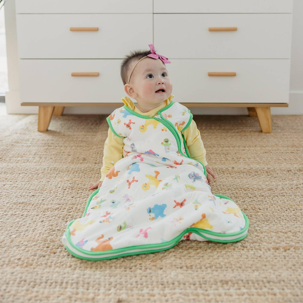 Copper Pearl Sesame Friends sleep bag in a nursery scene elevates the space