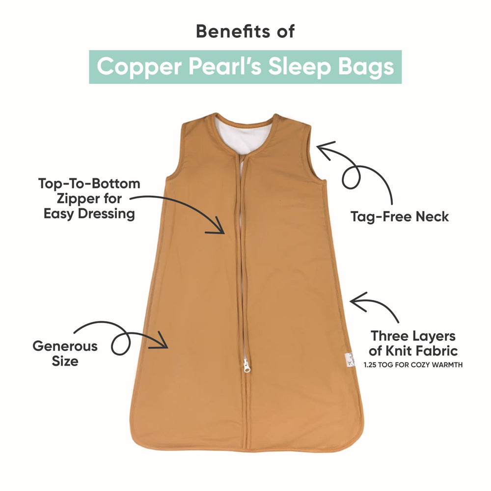 Copper Pearl Sleep Sack dinosaurs park print back view