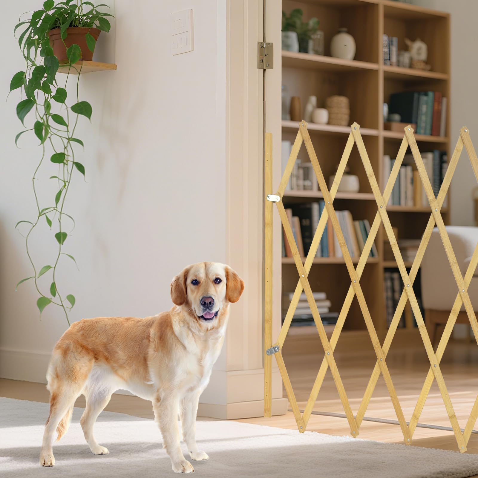 COSTYLE Retractable Accordion Pet Gate folded panel shows compact storage.