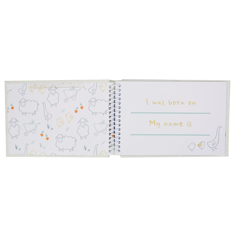 BP73-24958 holds 4x6 and 3x5 photos for flexible layouts.