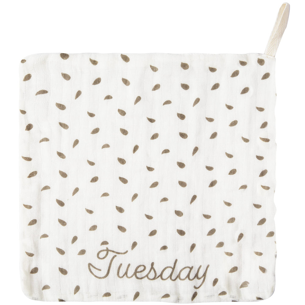 C.R. Gibson Woodland Colors Wednesday washcloths for unisex baby care.