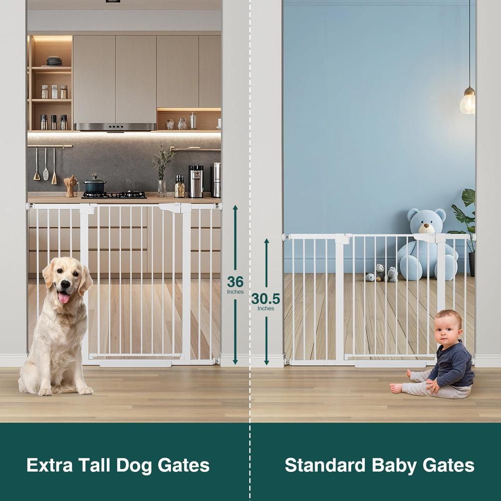 Cumbor two-way gate swing with auto-close for easy entry