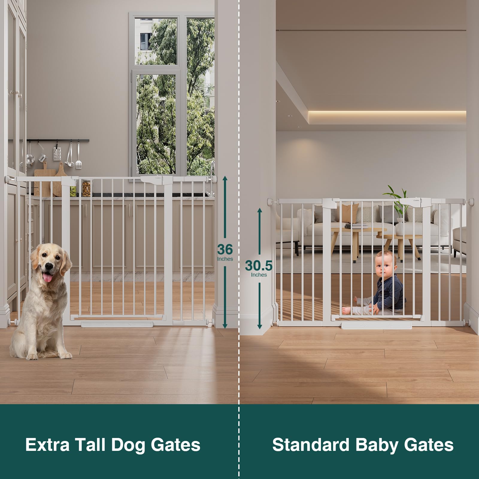 Cumbor gate with wide opening showing adjustable width for doorways