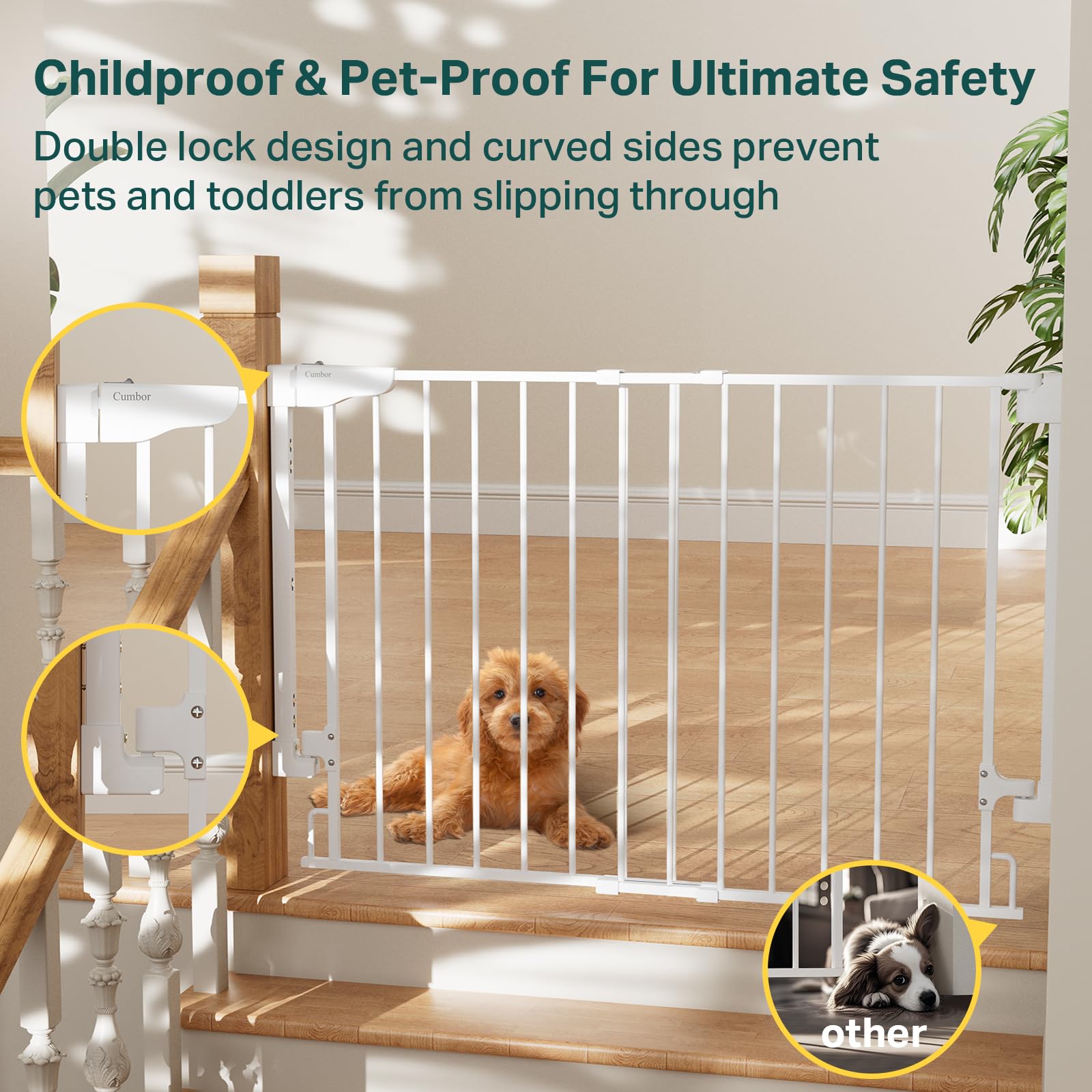 Cumbor gate with curved sides provides extra protection for children and pets.