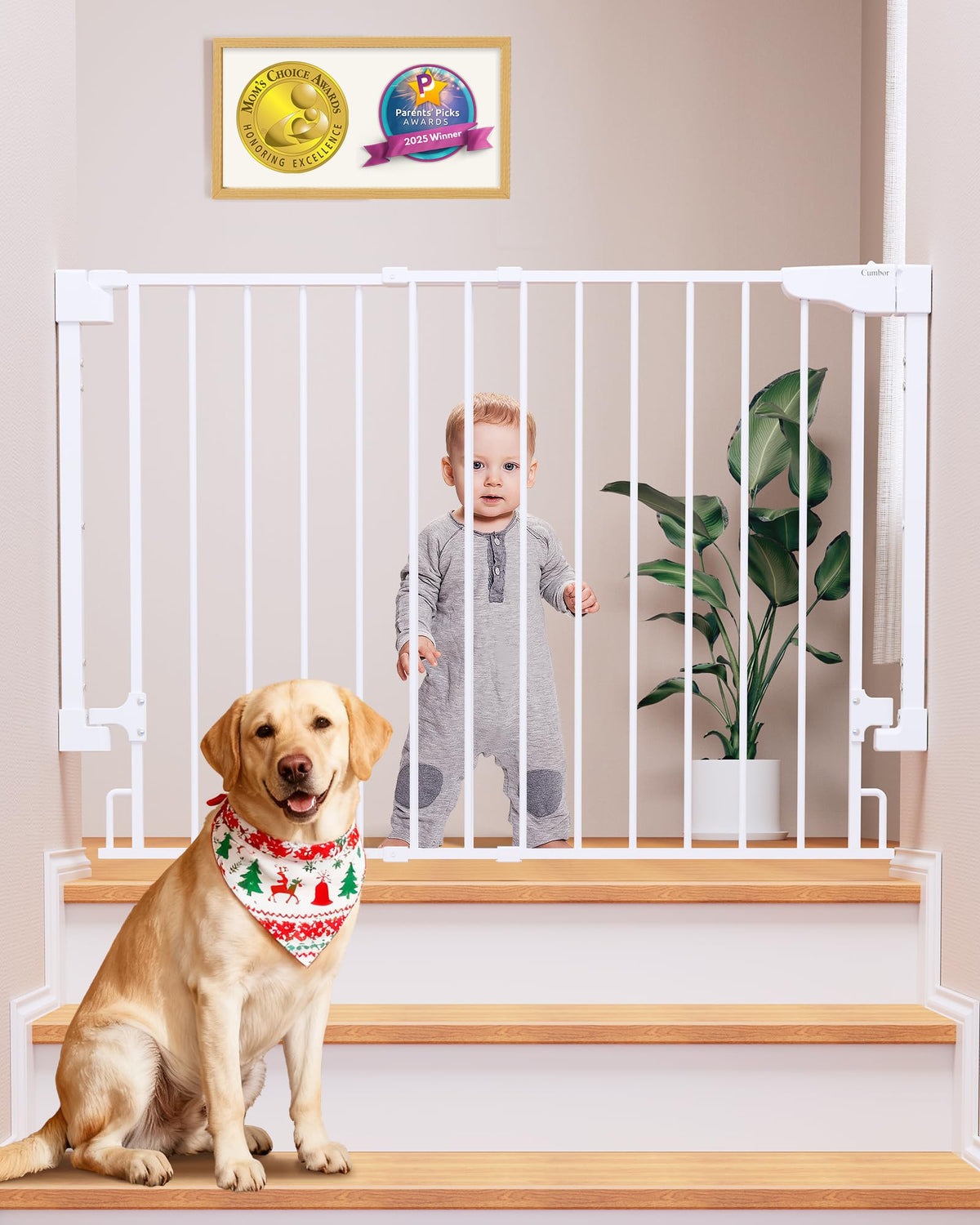 Cumbor baby gate at top of stairs with drill-mounted safety.
