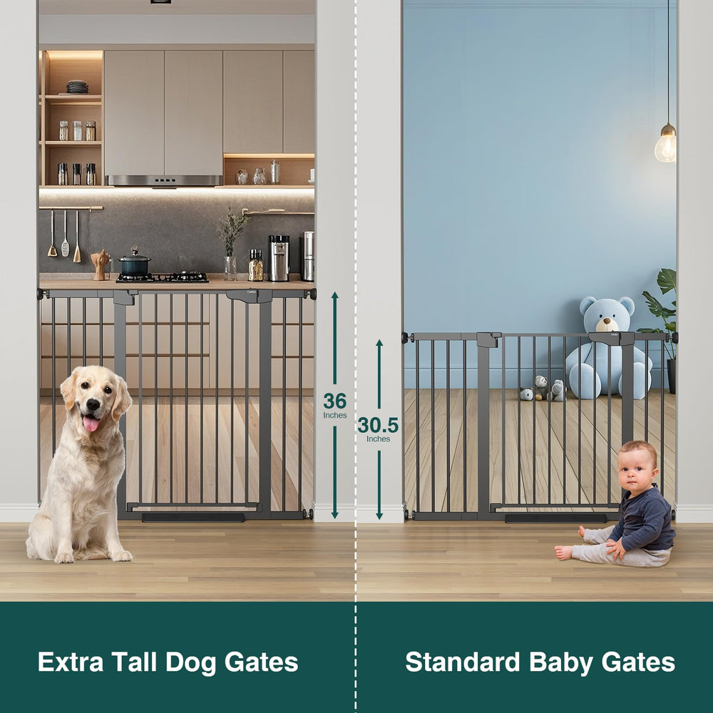 Two-way swing with auto-close provides convenient access for adults and pets.