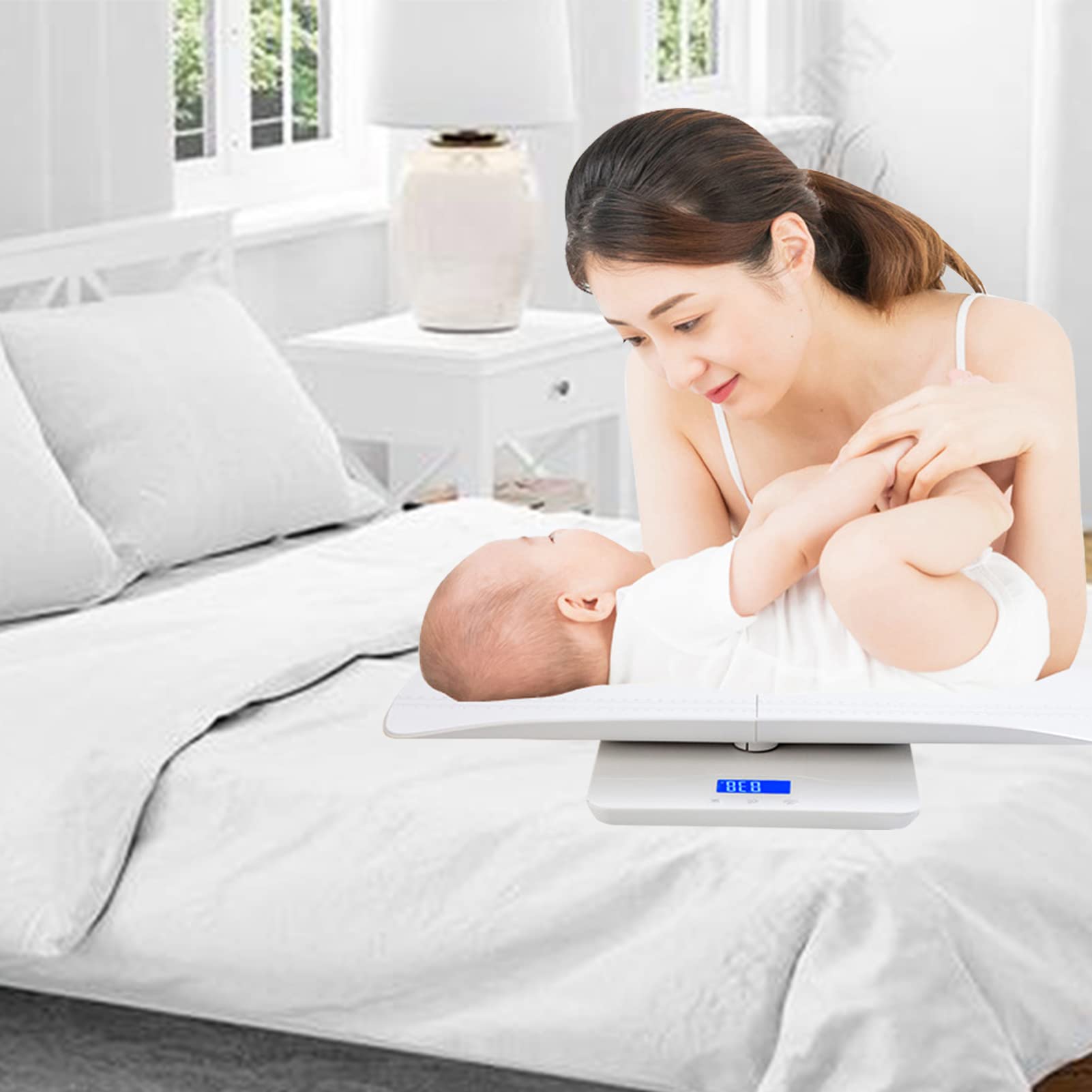 Daehung digital scale backed by a 5-year warranty.