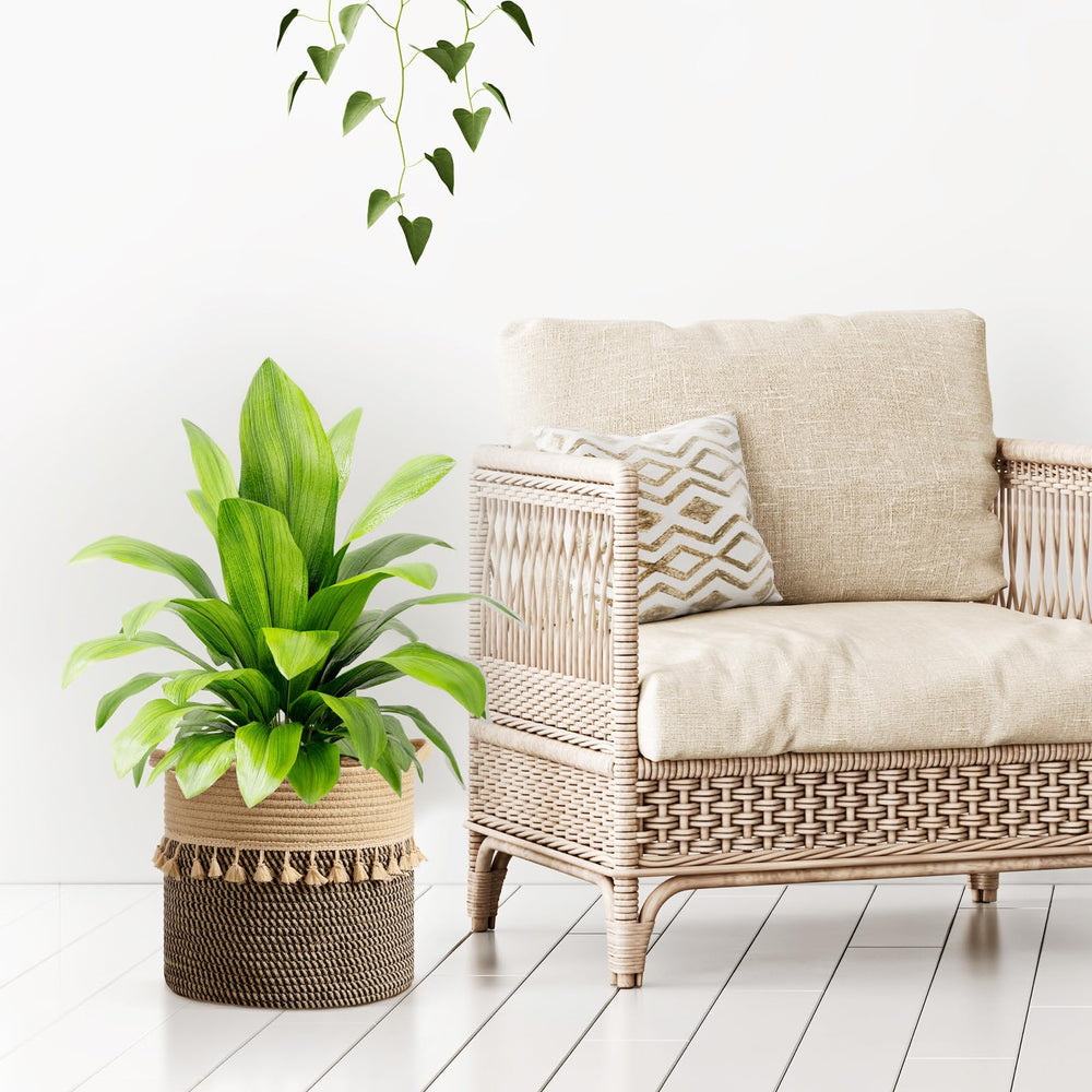 Danpinera round storage basket 11x11 in cream ideal for towels.