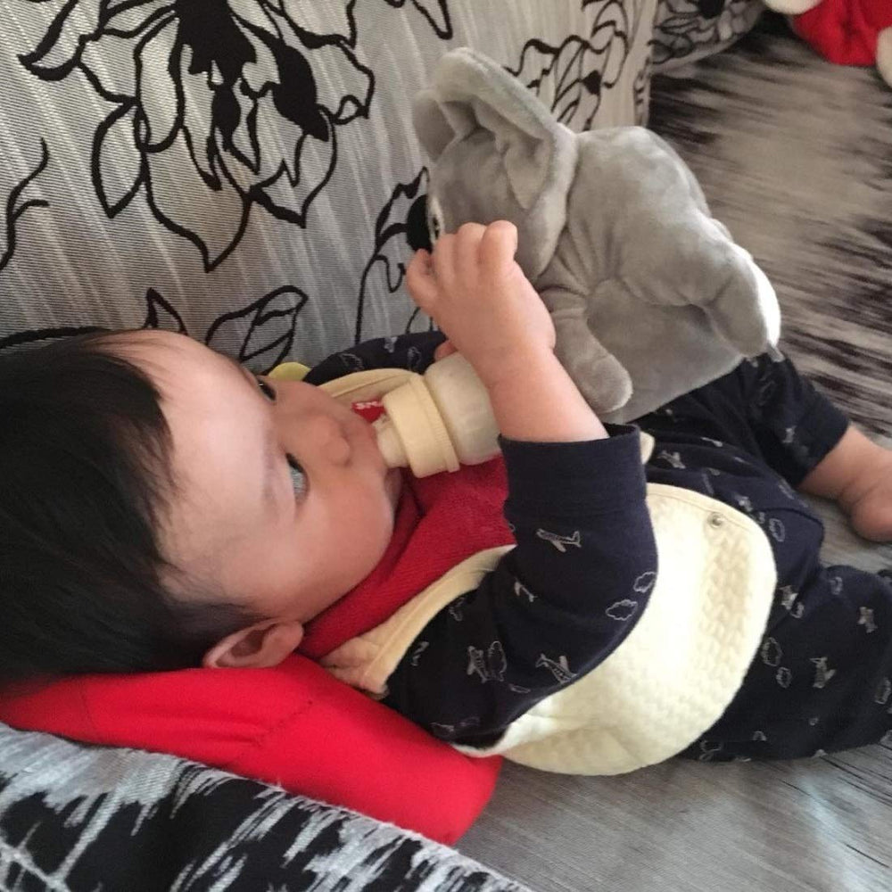 Daphyls Marsupeez Koala bottle not included, note bottle separate