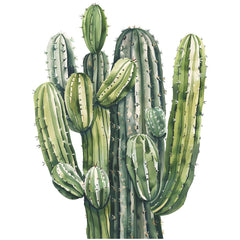Two-piece design forms a dramatic cactus display once assembled on smooth surfaces.