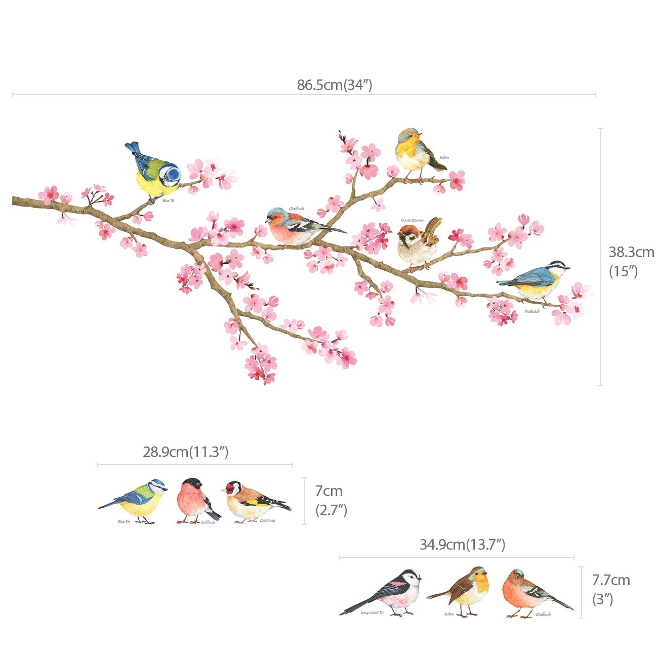 DECOWALL garden birds and blossoms create a charming focal point in living spaces.
