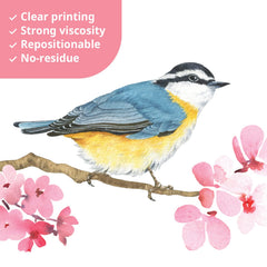 DS4-8039 birds wall decals add color in seconds, with clean removal.