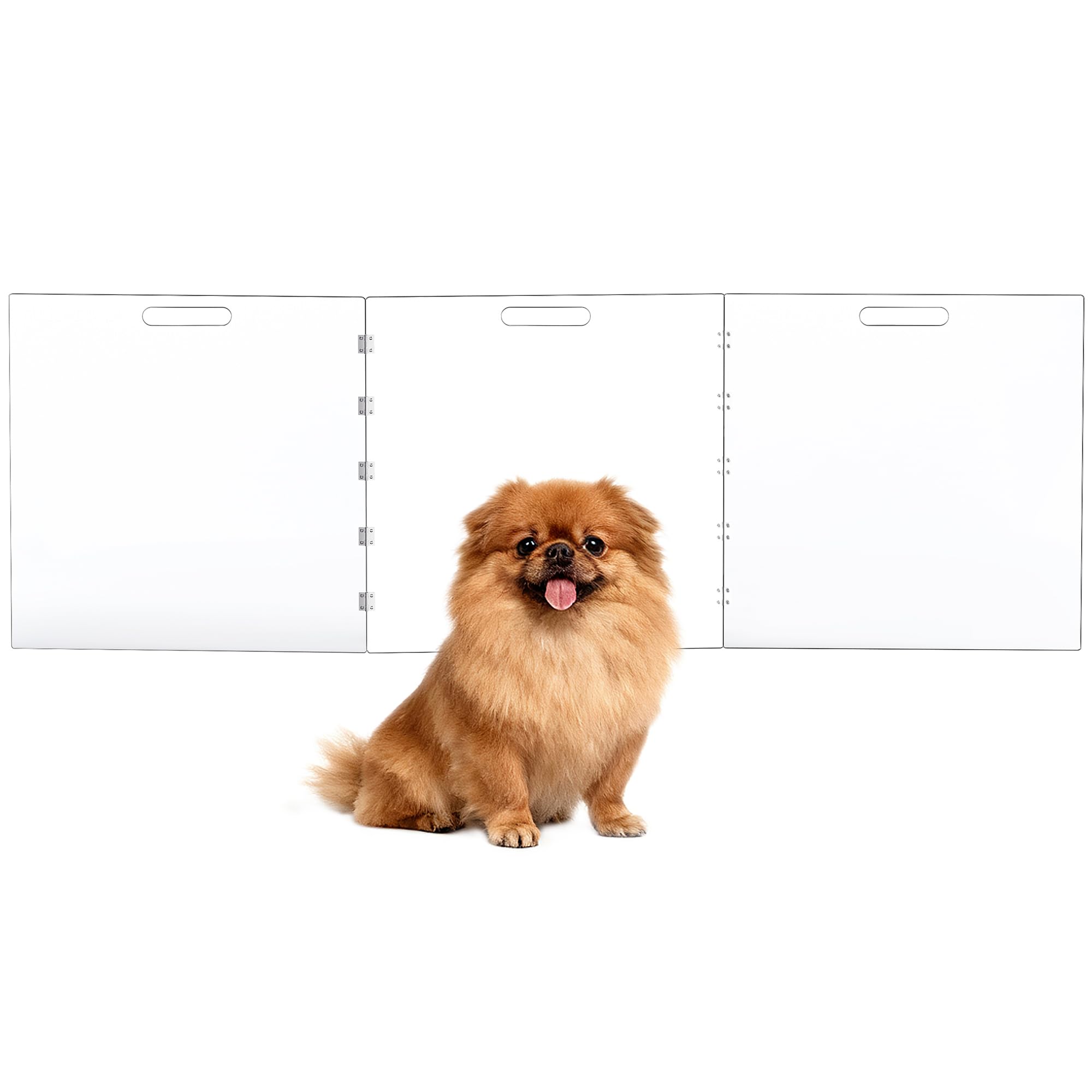 Dewrhiixe clear acrylic dog gate in doorway offers unobstructed supervision.