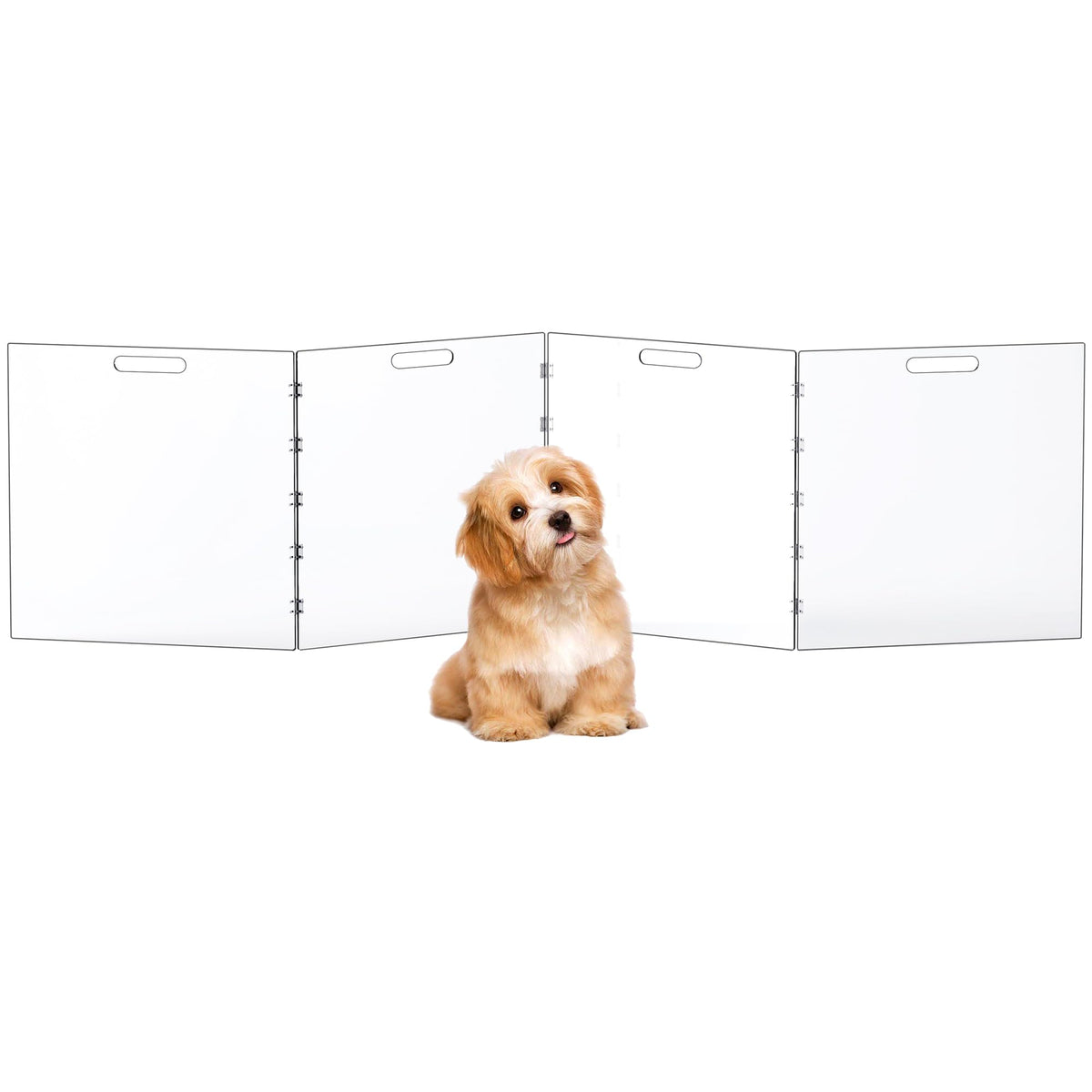 Dewrhiixe clear acrylic dog gate in doorway with unobstructed visibility