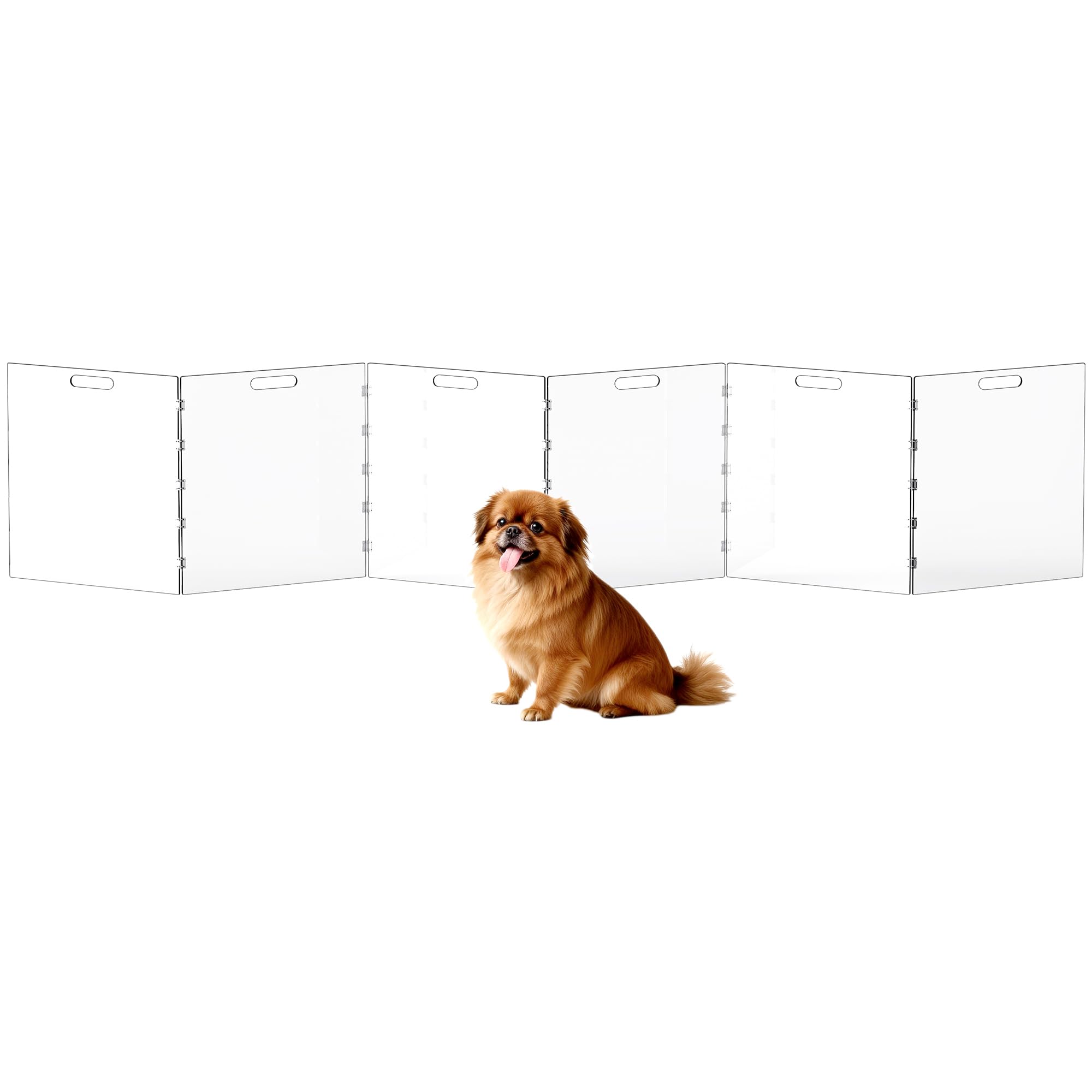 Dewrhiixe clear acrylic dog gate front view showing unobstructed visibility