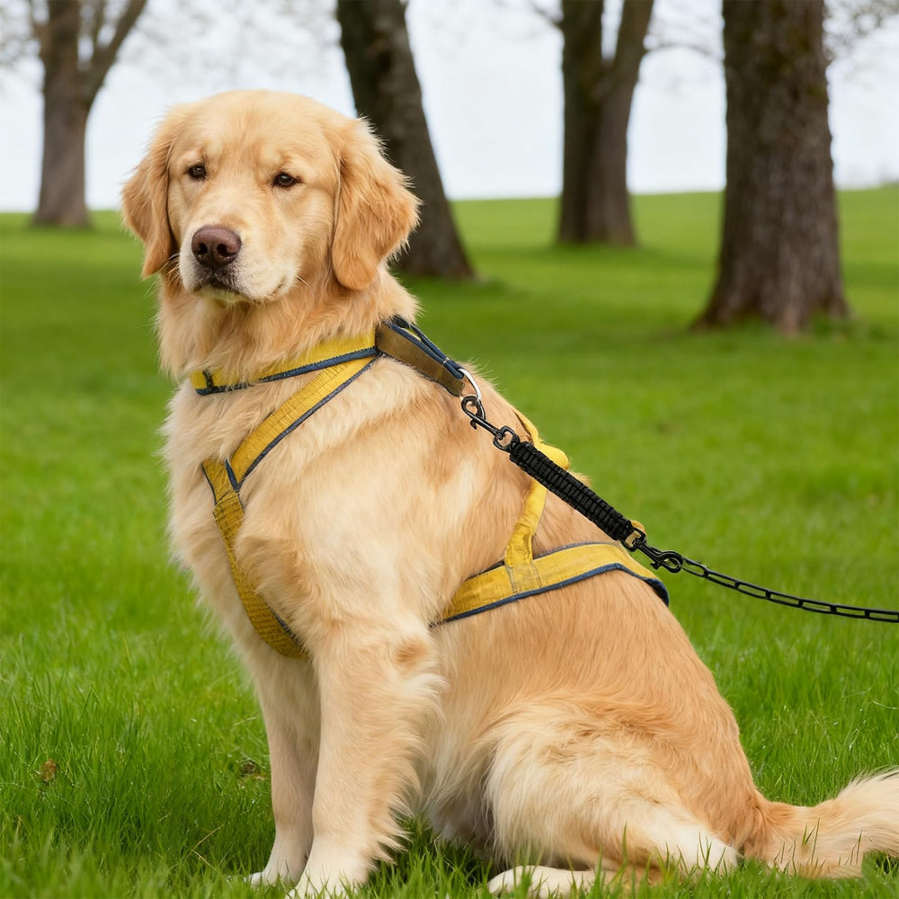 Dog Collar Safety Clip universal compatibility with harnesses and collars.
