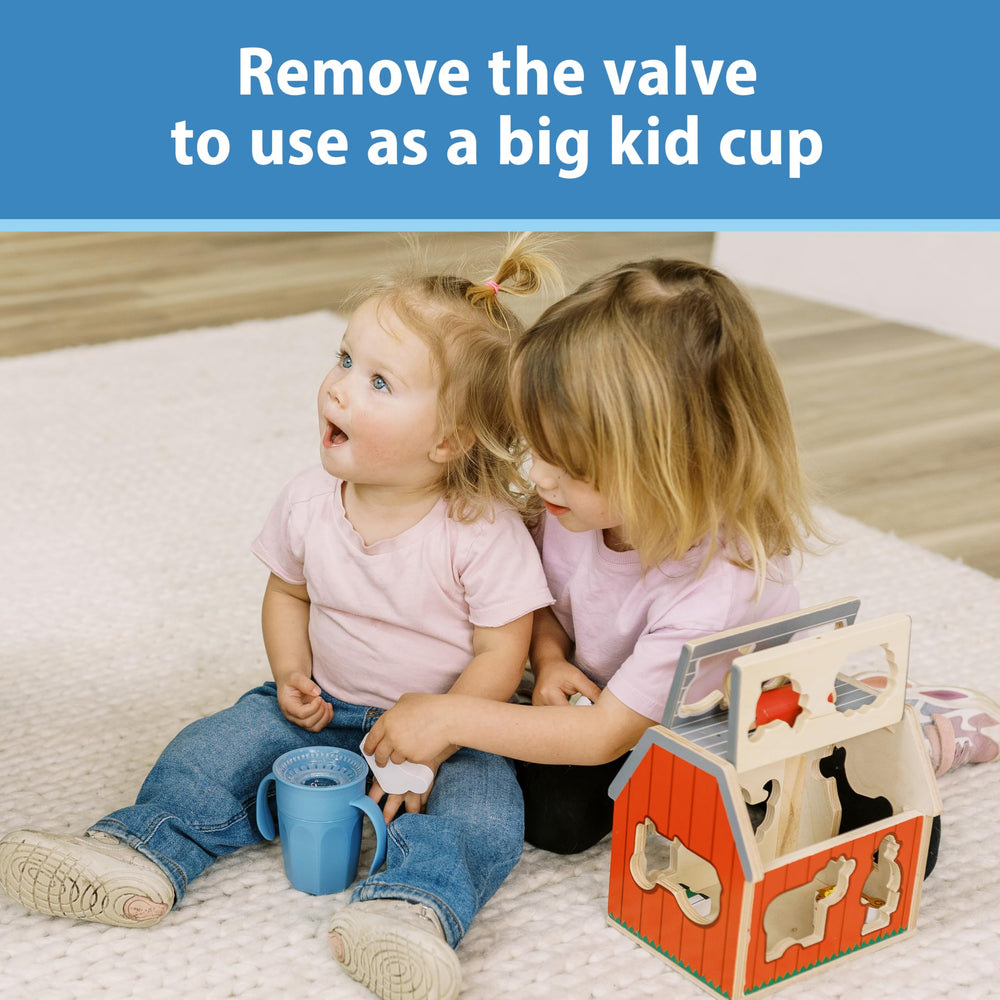 Dr. Brown's Milestones Cheers 360 removable valve supports big-kid transition.