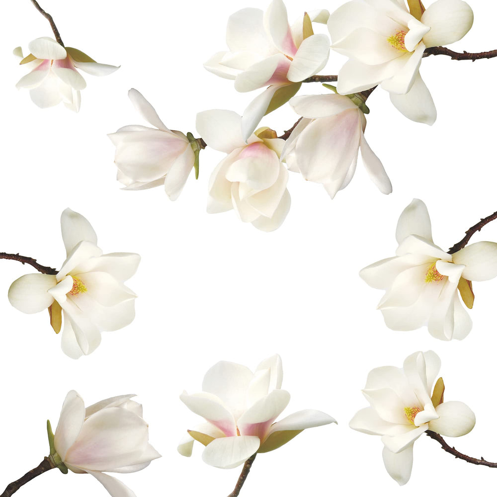 DTLIFEK removable wall decal set ready for quick decorating