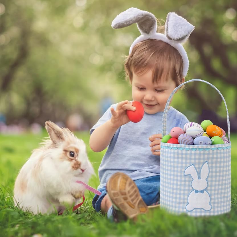 DYSHAYEN bunny easter basket blue table centerpiece display with treats