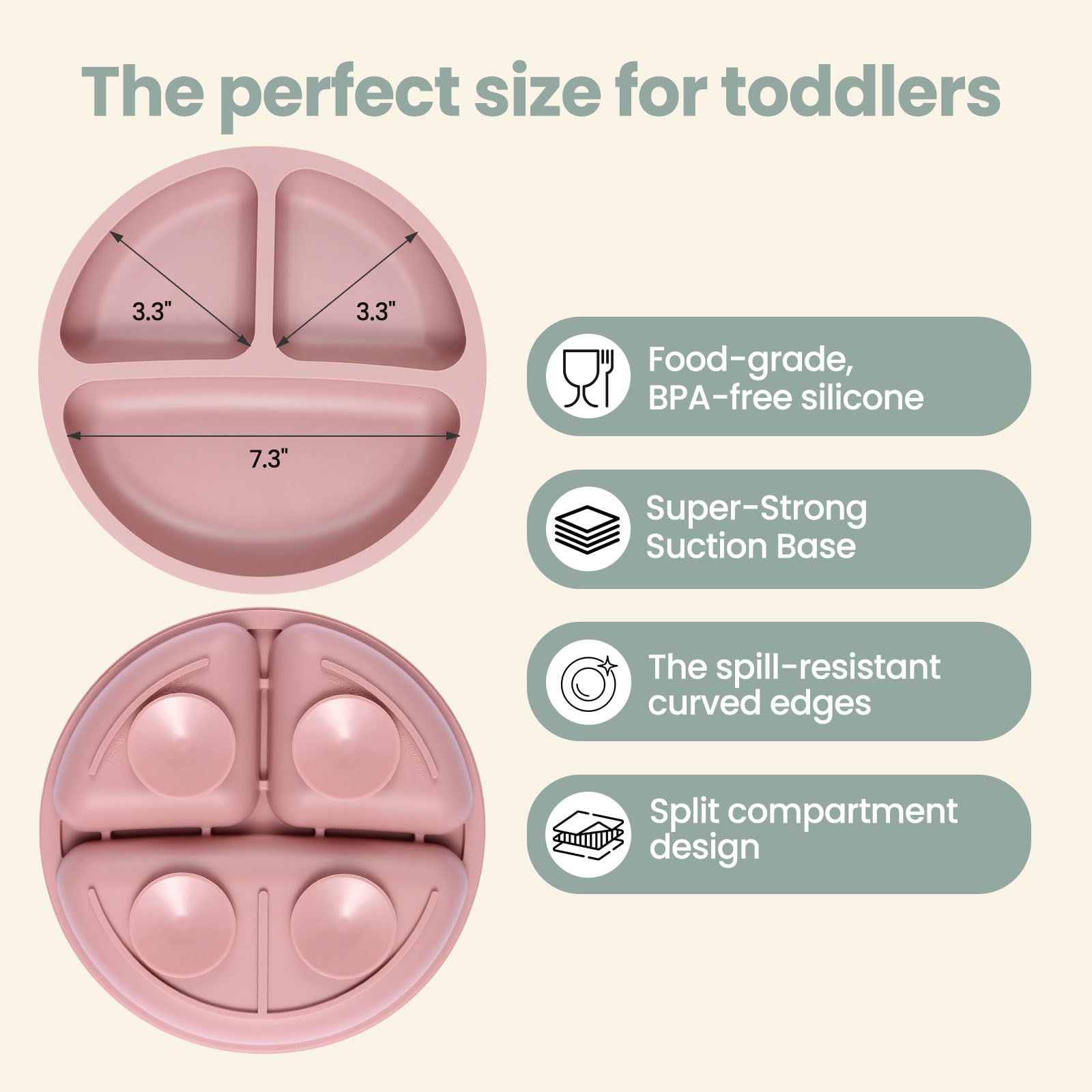 Eascrozn plate compartments help visualize portions during meals.