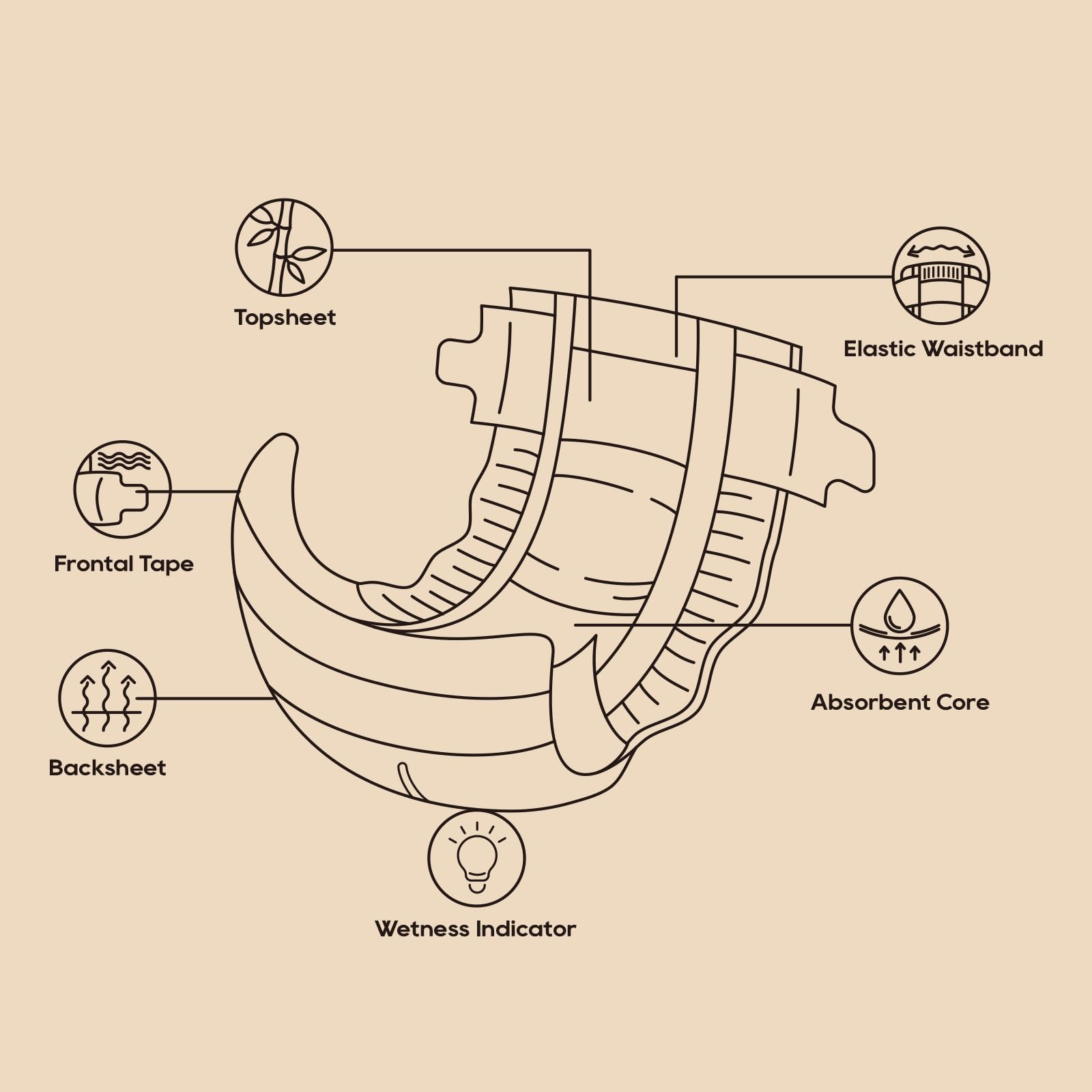 ECO BOOM absorbent core visible, German-quality material for dryness