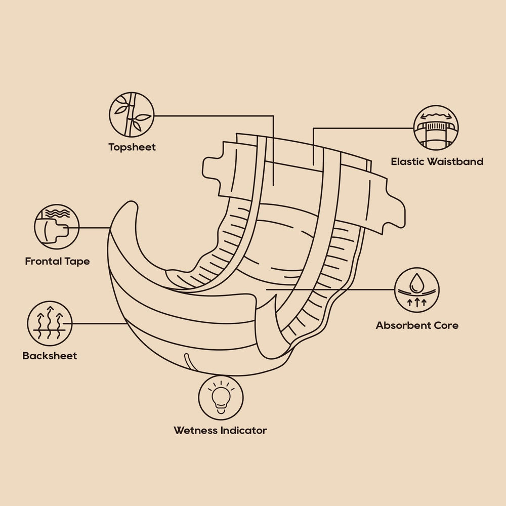 ECO BOOM absorbent core visible, German-quality material for dryness