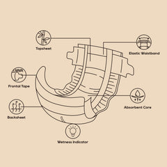 ECO BOOM absorbent core visible, German-quality material for dryness
