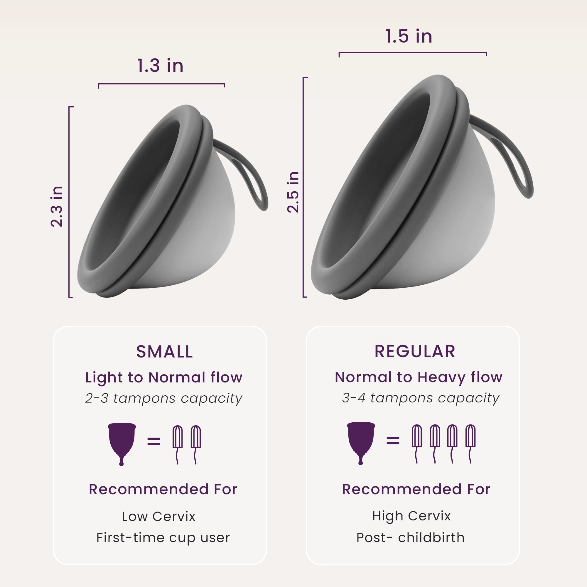 EcoBlossom disc-easy-clean-case highlights easy cleaning and discreet storage.