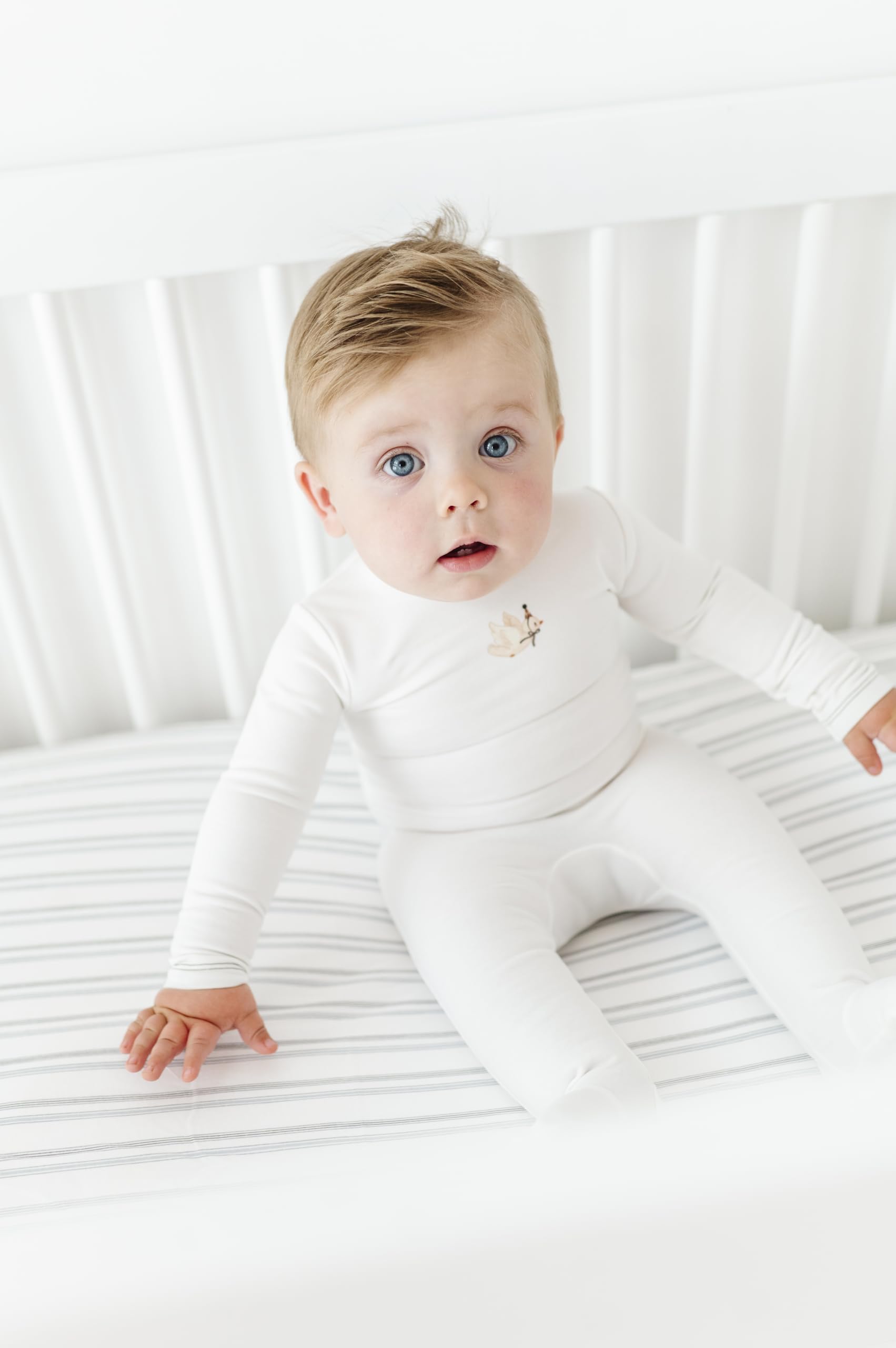 Ely's & Co. 2-pack dragonflies and stripes—versatile fit for cribs and toddler mattresses.