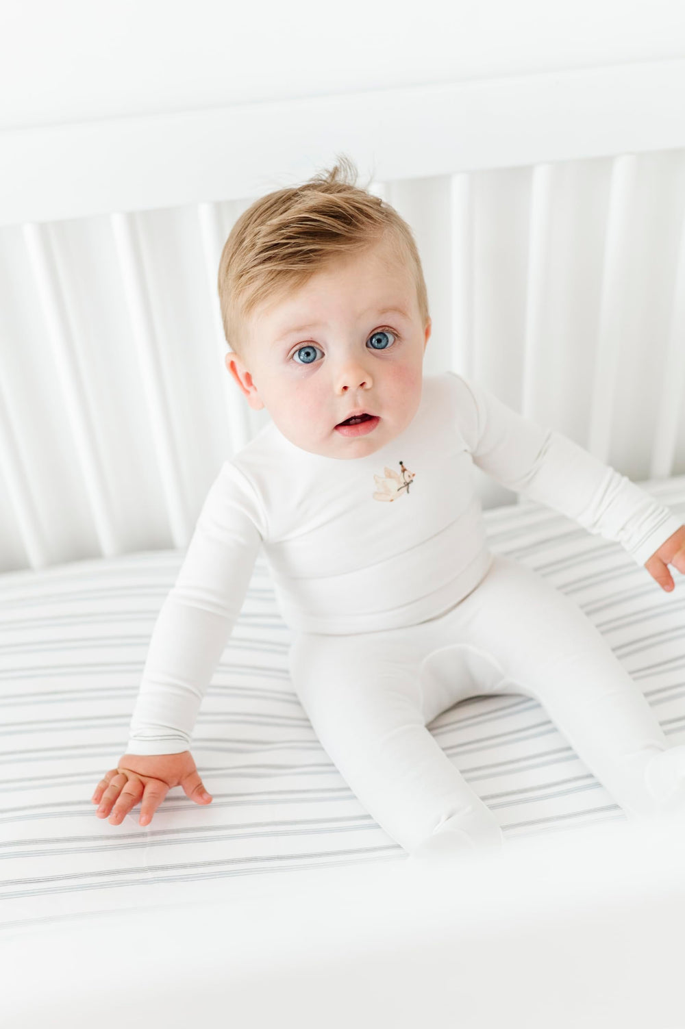 Ely's & Co. 2-pack dragonflies and stripes—versatile fit for cribs and toddler mattresses.