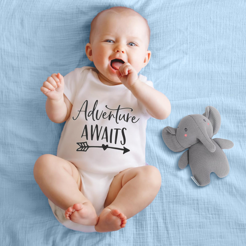 Elysirise animal rattle socks in newborn gift set for sensory play