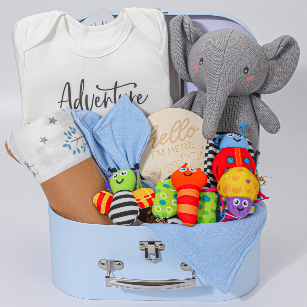 Elysirise pastel blue keepsake suitcase packaging for gifts