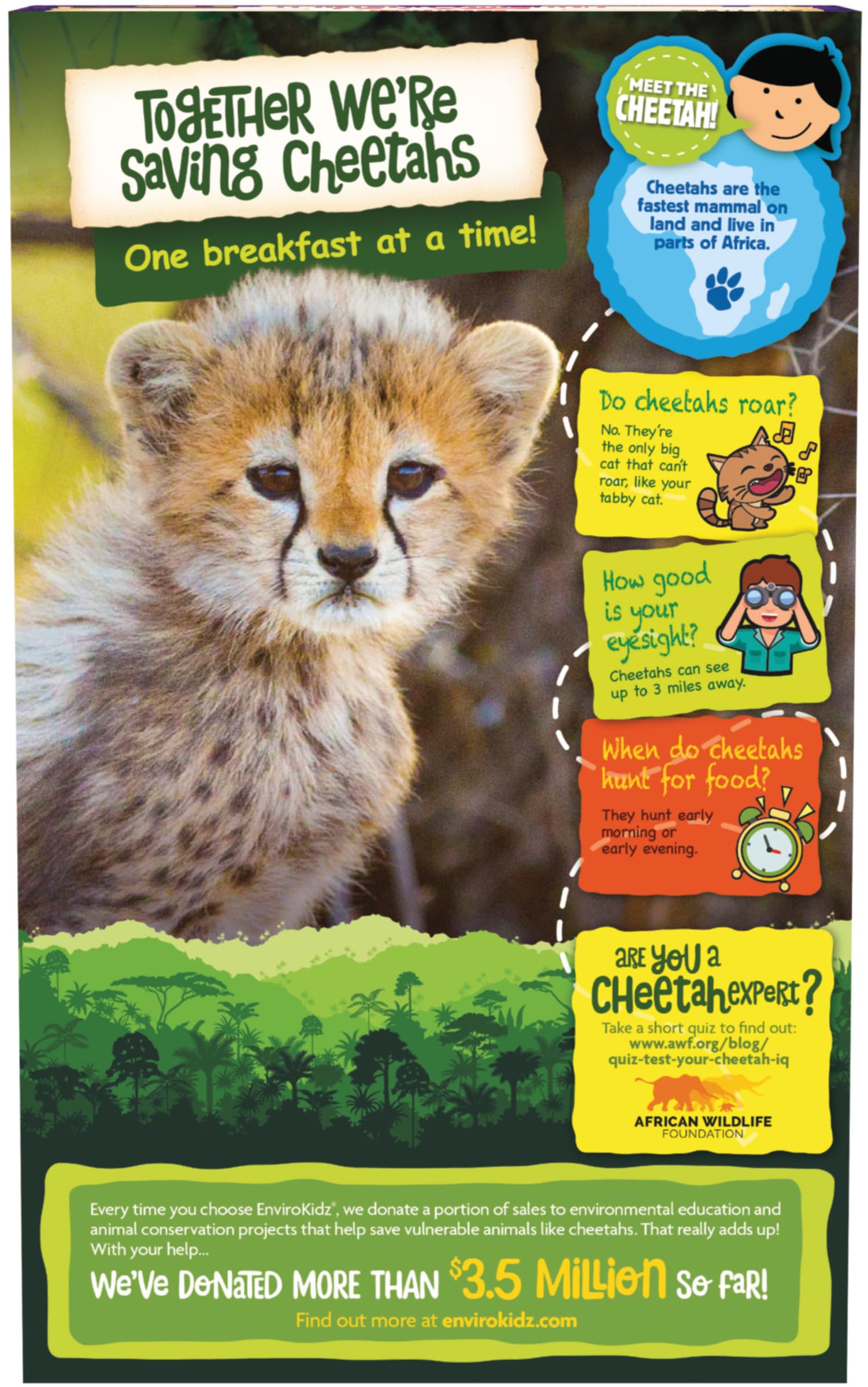 No artificial flavors badge on the EnviroKidz cereal box.