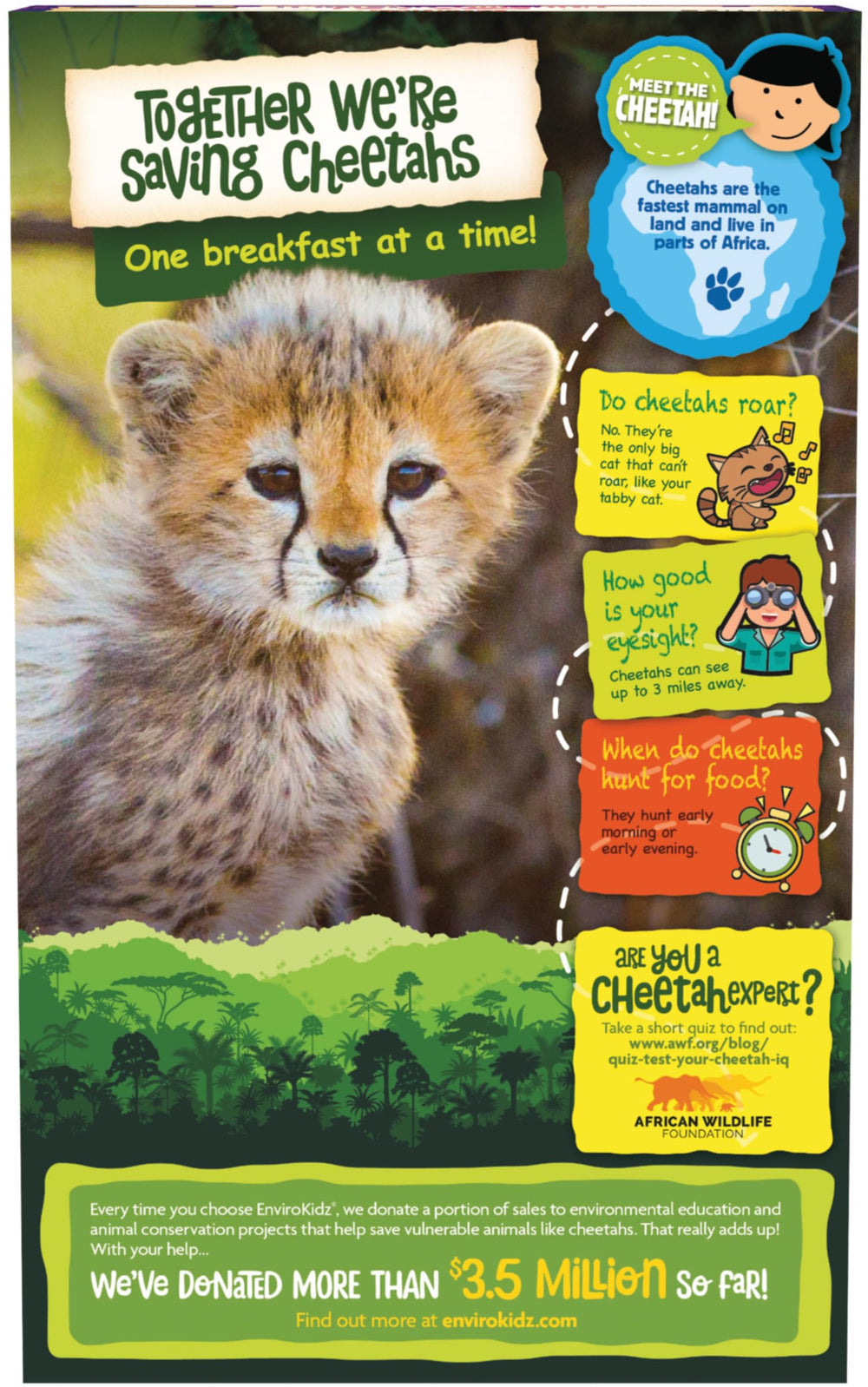 No artificial flavors badge on the EnviroKidz cereal box.