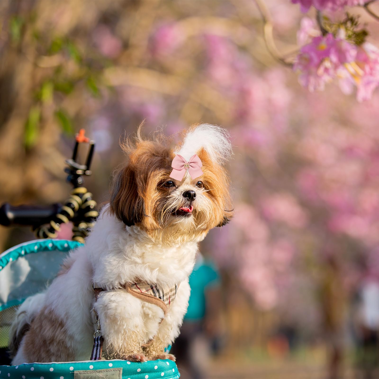 EPBRVV bows with lead-free clips ensure safe, gentle wear