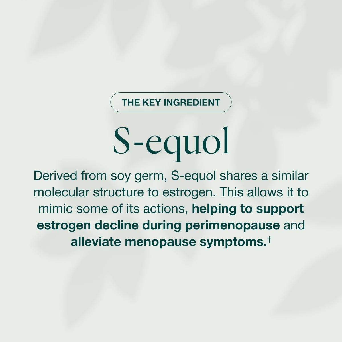 EQUELLE daily dose of two tablets for ongoing menopause support.
