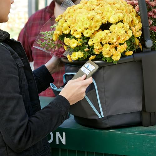 Evenflo Stroller Market Basket Gray Sky flat bottom for stable loading.