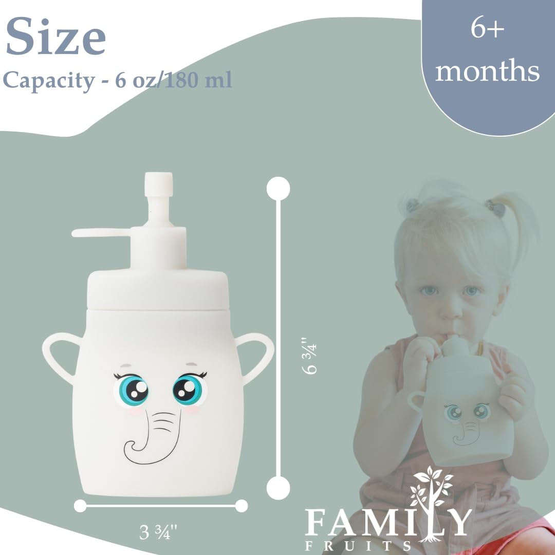 Family Fruits travel-ready pouch fits lunchboxes for on-the-go meals.