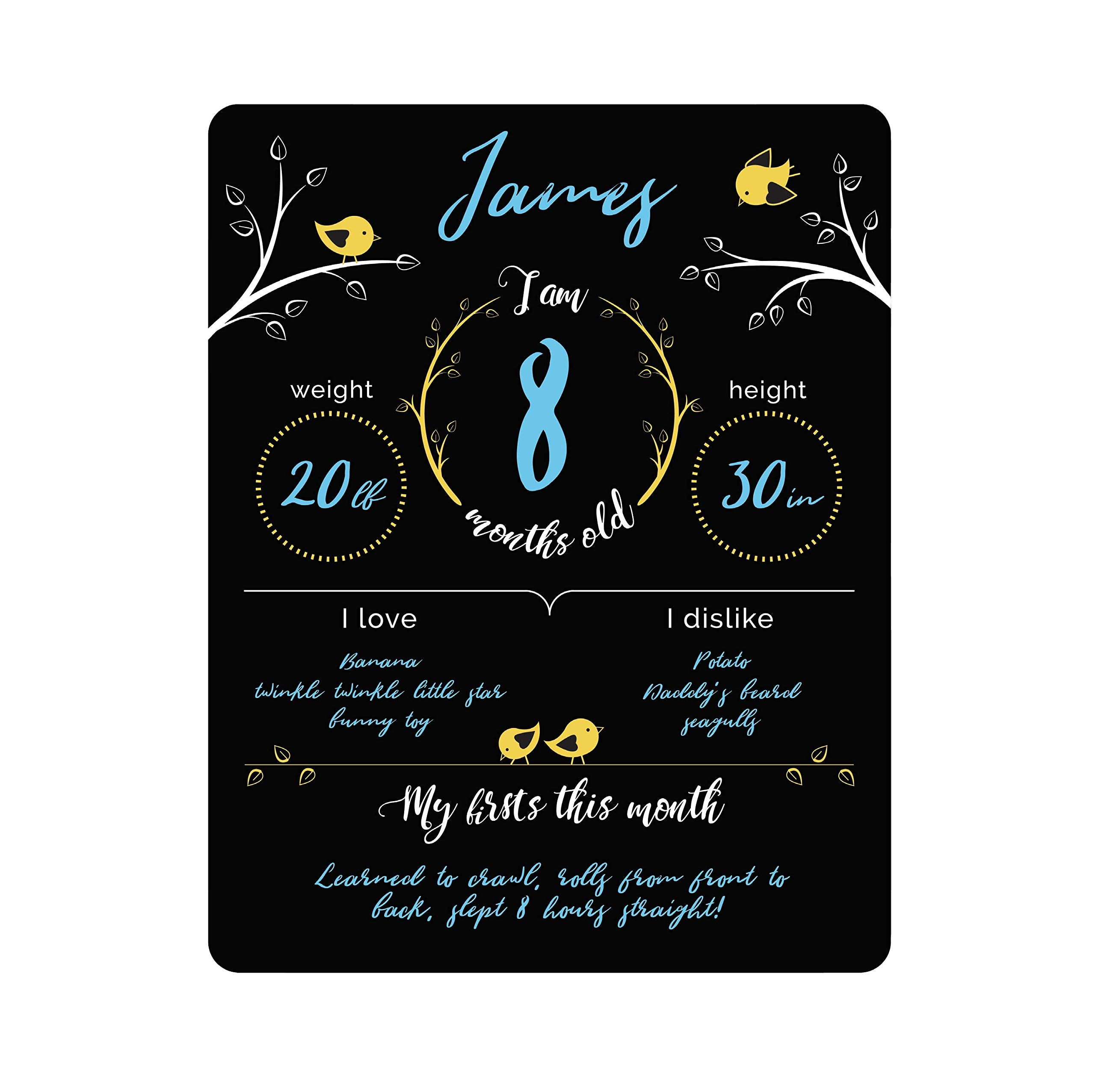 Felt Like Sharing baby milestone sign front view for stylish monthly photos.