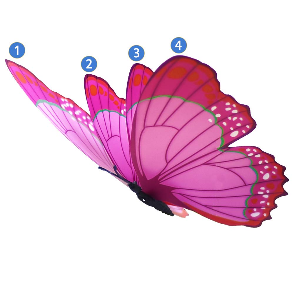 FENELY 3D double-wing butterflies create a lifelike display.